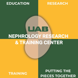 NRTC/Division of Nephrology MPI Pilot Award Program